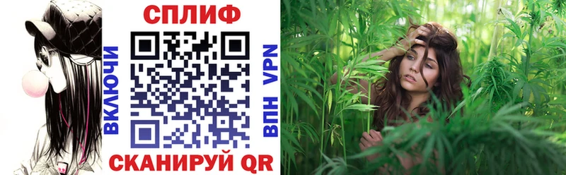 Канабис THC 21%  наркотики  Питкяранта 